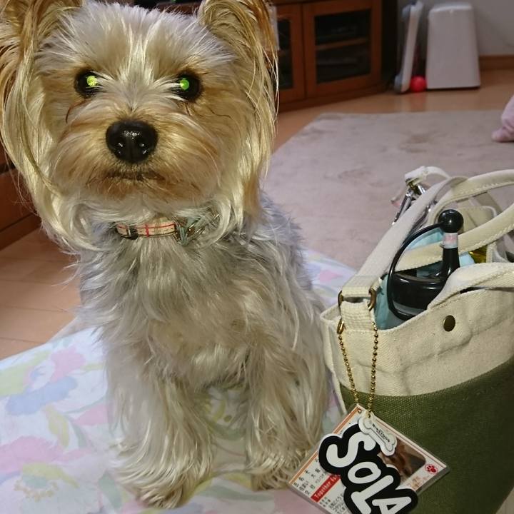 3a6c0c24 43c5 4fd3 bb32 82fbab3ad4c7 1541727822699