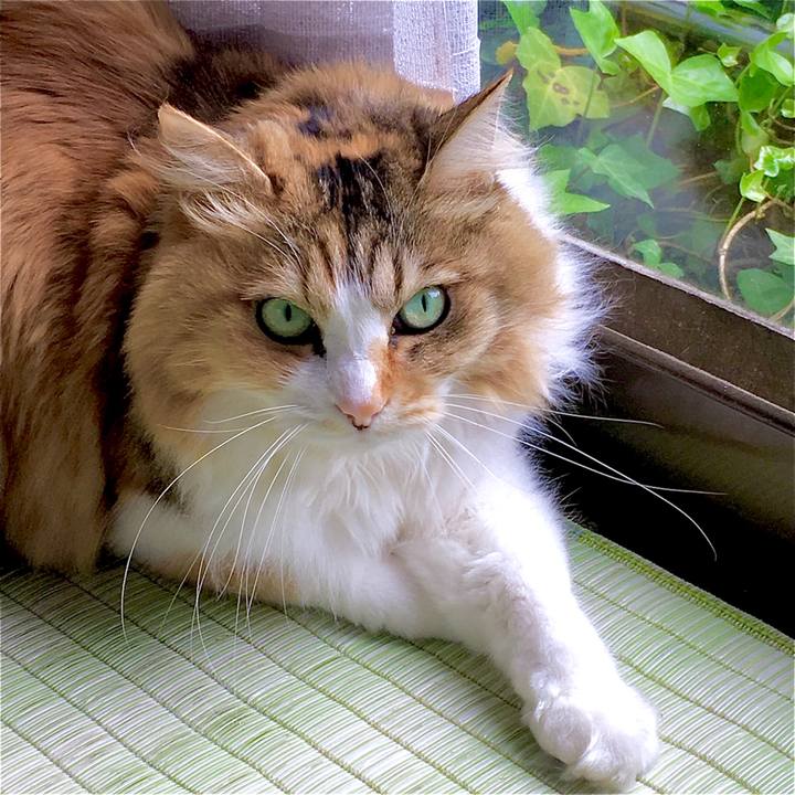 3a6c1781 faa9 4445 a476 950891d588f4 1589352777687