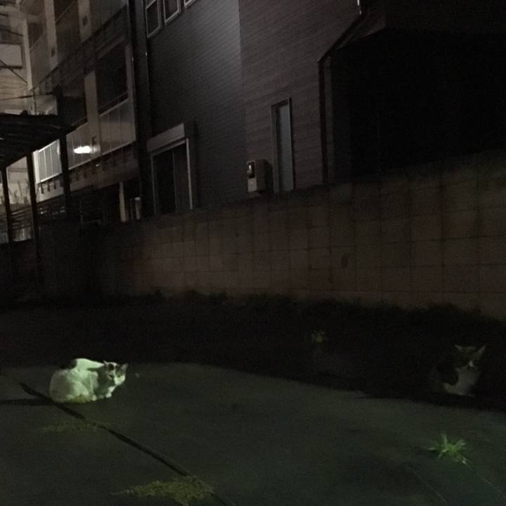 3a6c1d5f 8b18 4878 90c4 9f4b274b3aa7 1543065419625