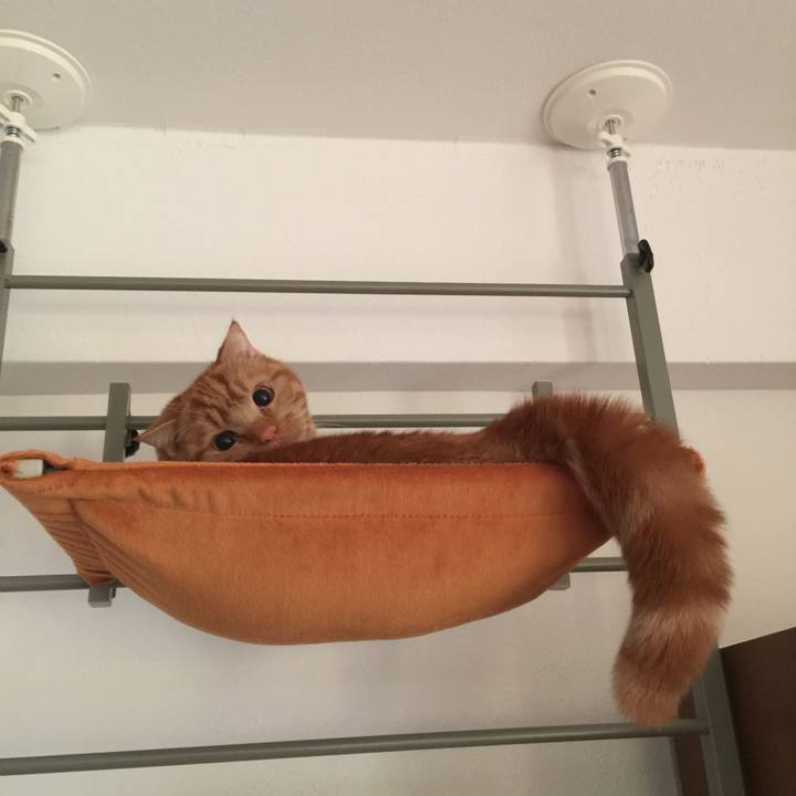 3a6c27cf 4eb7 43cc 9b9d 703a39108fd5 1512345671001