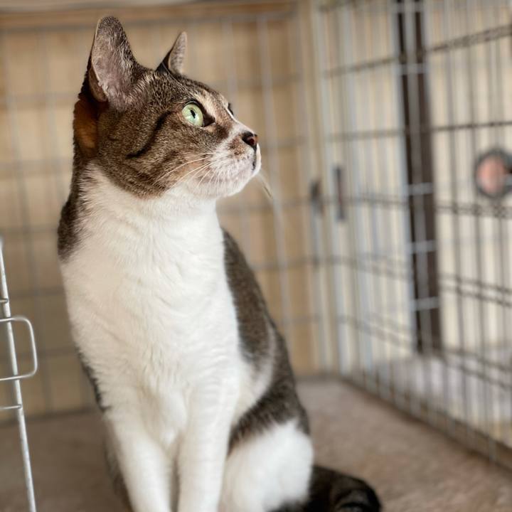 3a6c3f3c f52f 48bd baf6 5cec42e8d0ac 1609721517201