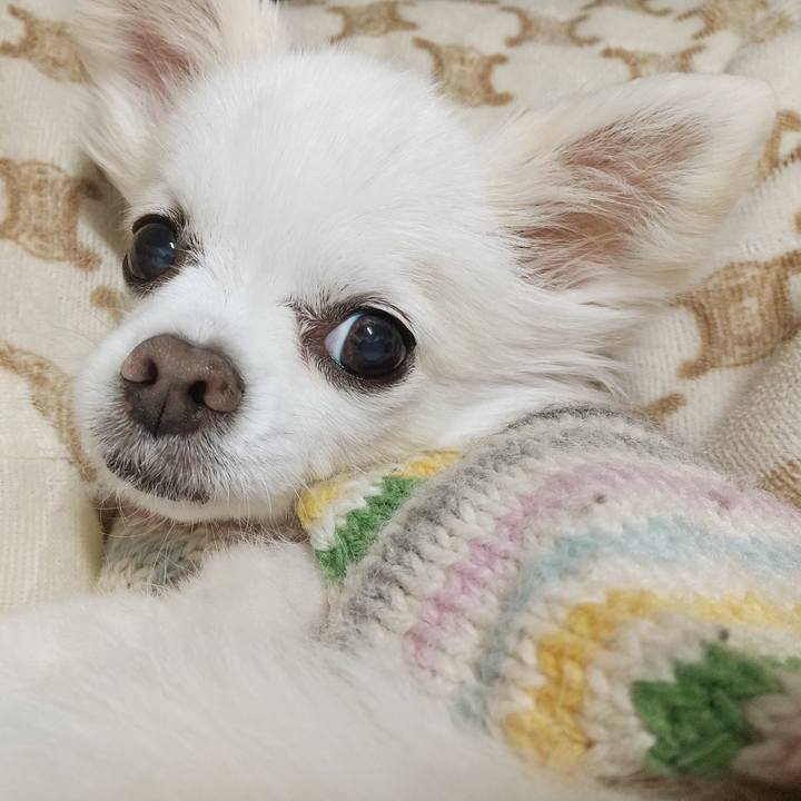 3a6c9420 9141 4146 88dd 75203b064fab 1611837795741