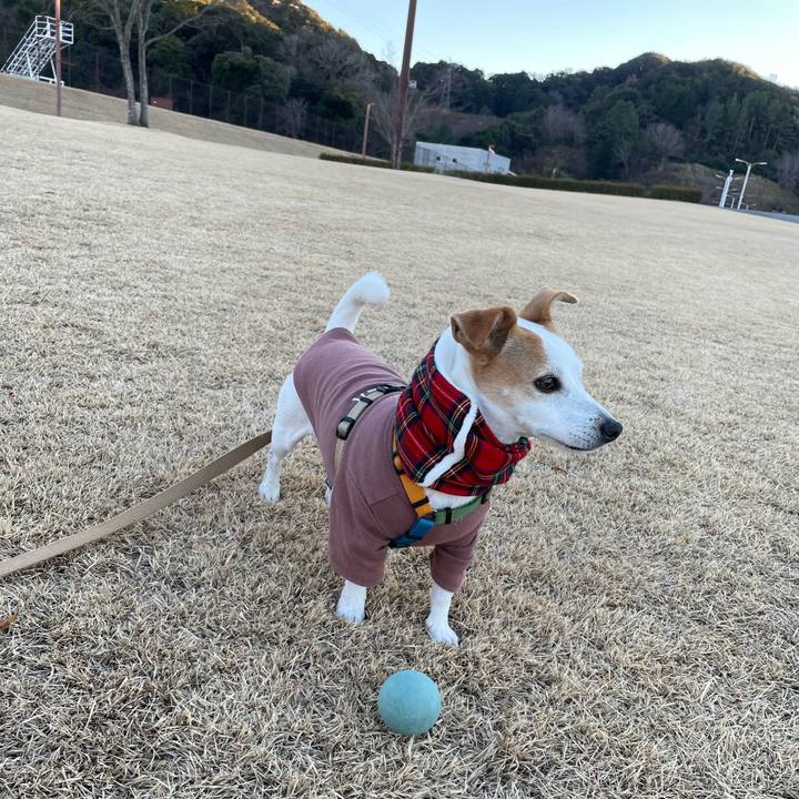 3a6cc4fe b437 401b a8f8 24246a5bbaed 1642669165102