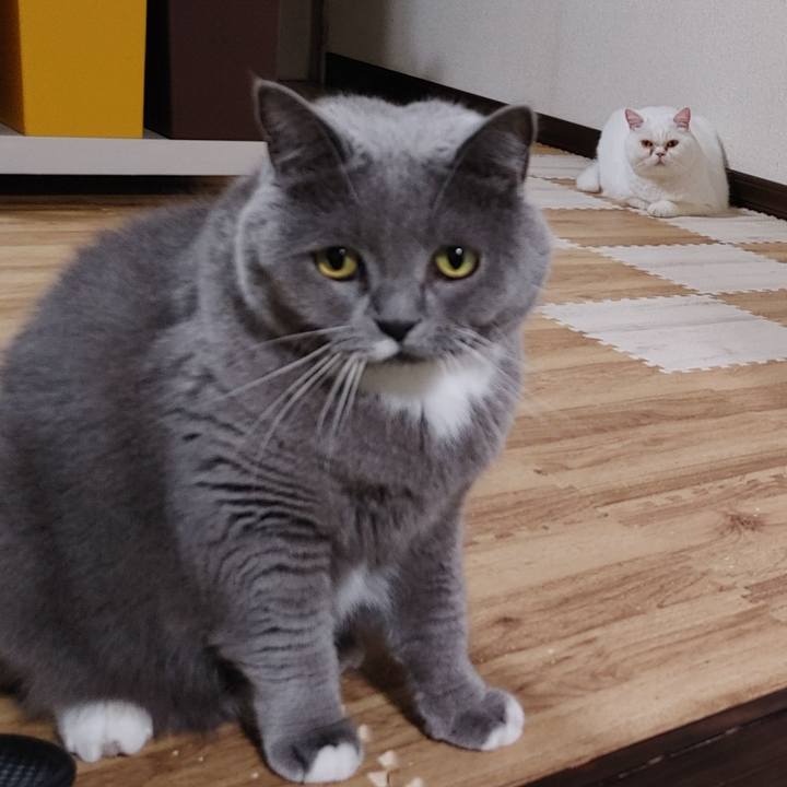 3a6cd025 db52 4a01 bfc6 aadbdaf2372a 1666952362619