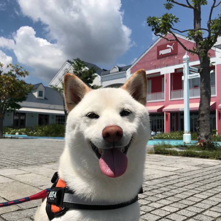 3a6cde17 ae08 4539 bb61 fda10eeaf5ce 1527903161444