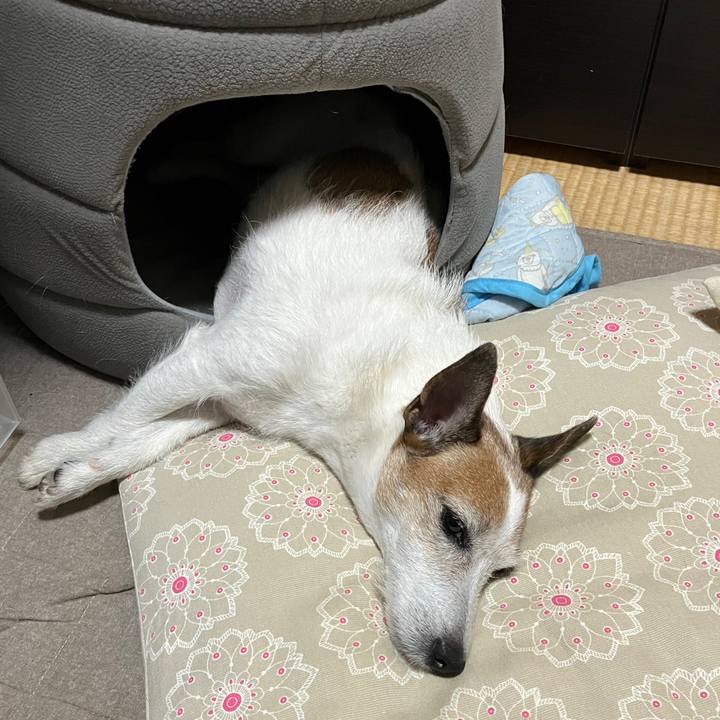 3a6ce923 08e0 4bad a86f 8b434e1d1b87 1720566984943