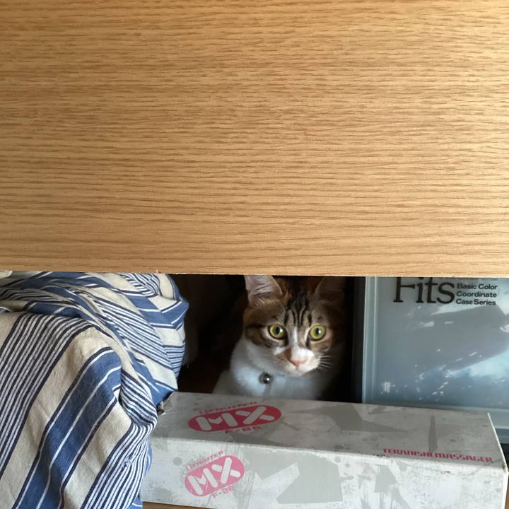 3a6d0afb c4cd 4670 9e16 ea999fd24515 1660287303680