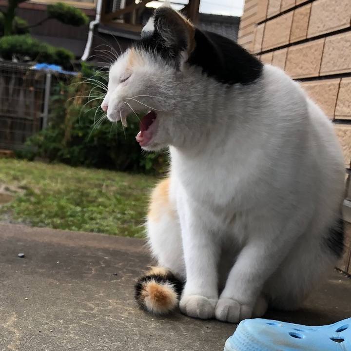 3a6d0b65 cd2f 4538 9c37 f4efb714a45c 1603447442928