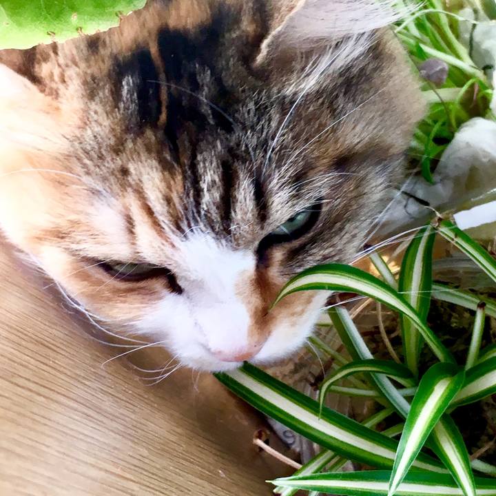 3a6d0e01 31f5 494e 8655 baa46d02815e 1557438820367