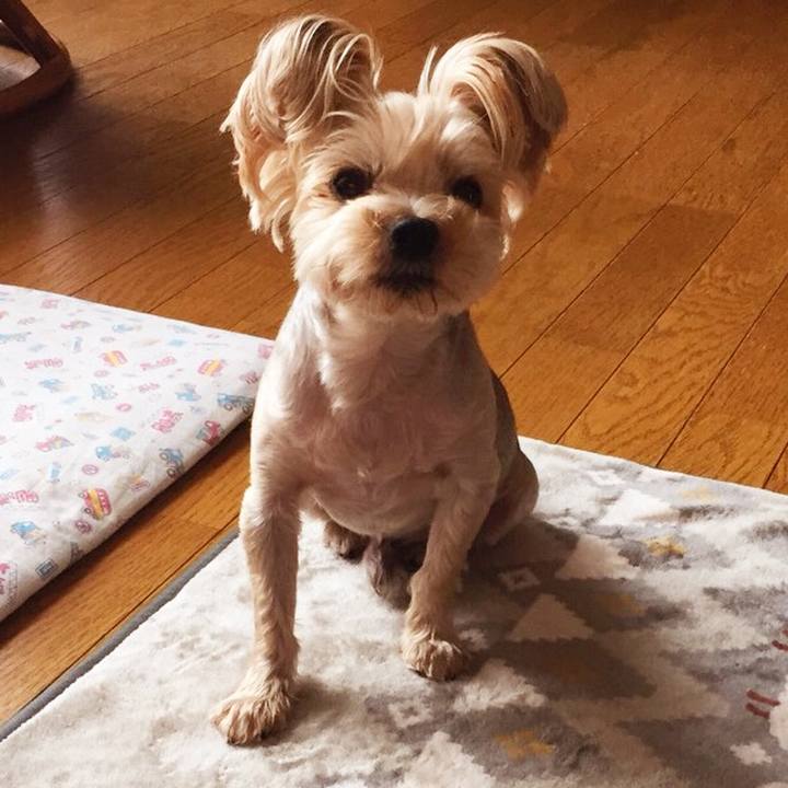 3a6d0fec 79b4 4916 968c 6c0b0c34ef9e 1531397488272