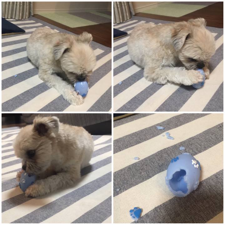 3a6d3c1e 7dd1 44f3 b889 9407db27649a 1524310746366