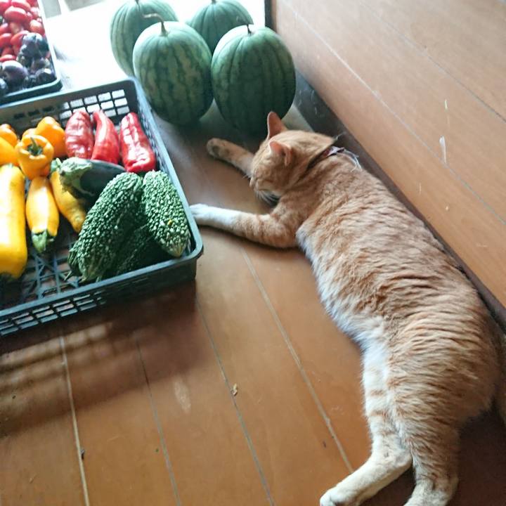 3a6d43d0 322e 4e00 89c8 46d603d93088 1567844196594