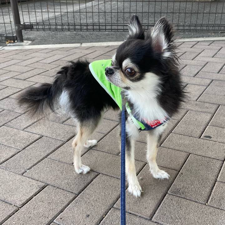 3a6d911f c2d0 42c2 90b0 bfbc5f9344fd 1688310506090