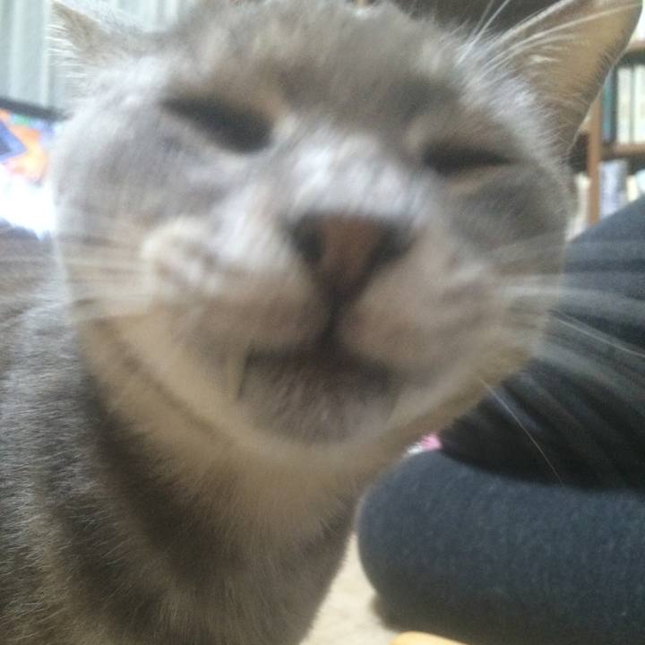 3a6dc839 afaa 4025 b18d 07bc160c26ac 1562933024625