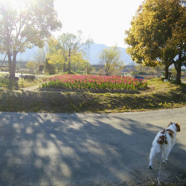 3a6dca89 0135 4ac4 a053 2d6f42fb9225 1555114984290