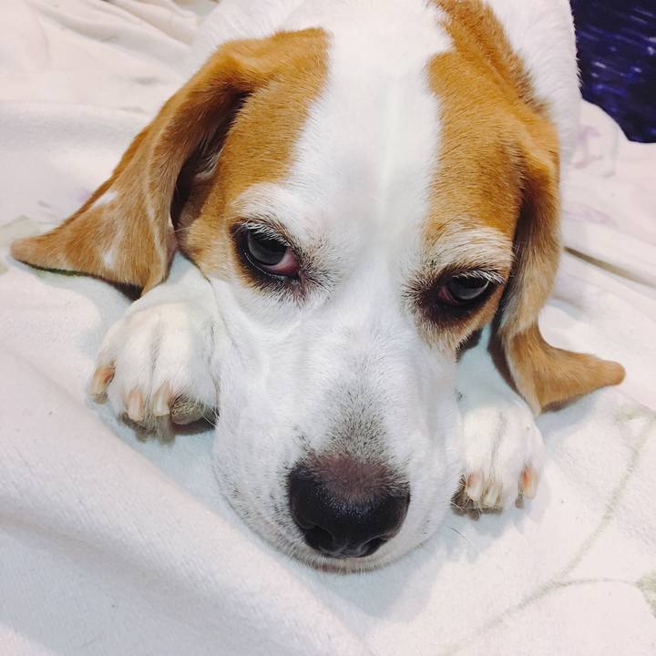 3a6dd4af 63bd 4cf0 9020 054e3245db12 1536128663865