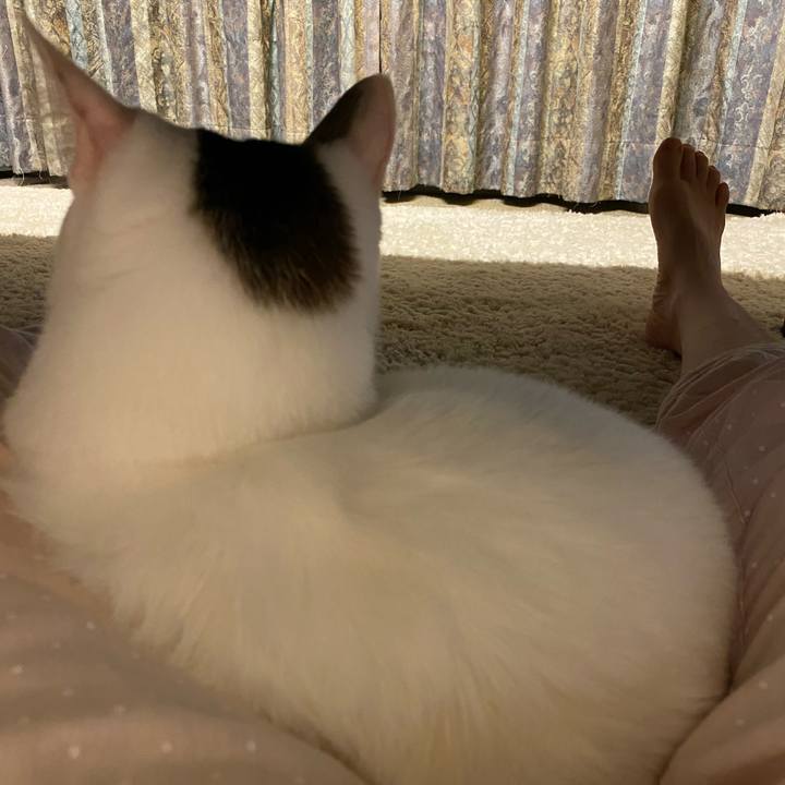 3a6dee10 806e 4512 a333 e5fb52e912e5 1665440901493