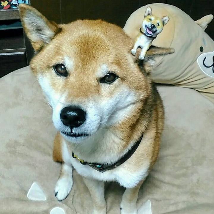 3a6e5f93 2965 4e30 8bcb 87cbd0e92df4 1574819843626