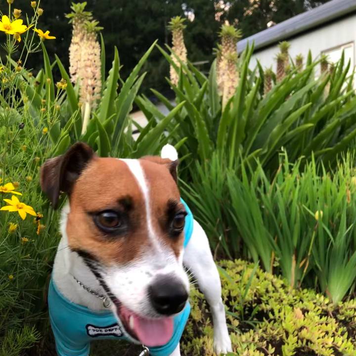 3a6e9270 aafe 4f04 a53c 6e67a33c4433 1565176622166