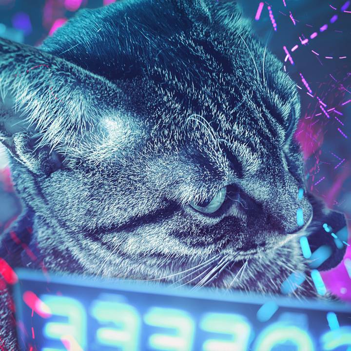 3a6e98aa da8f 434d ab99 4343f1352610 1592101849744