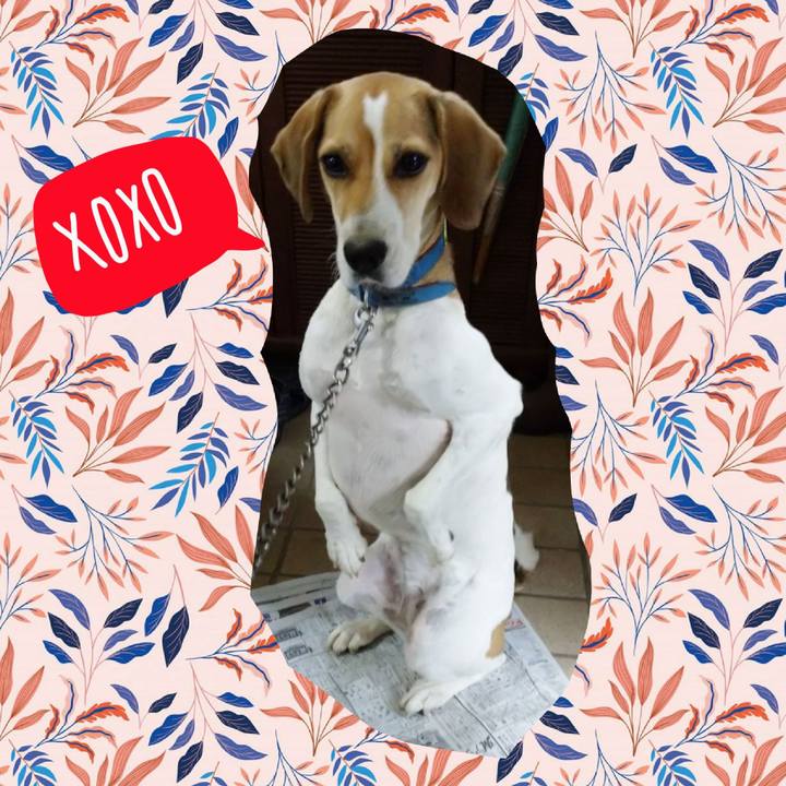 3a6eab93 4683 49d2 a886 48abe89d089f 1602900437276