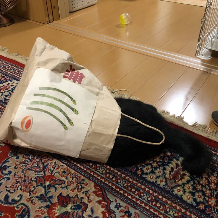 3a6ec1fa 473a 4998 988a c80d896a5fe4 1535089540329