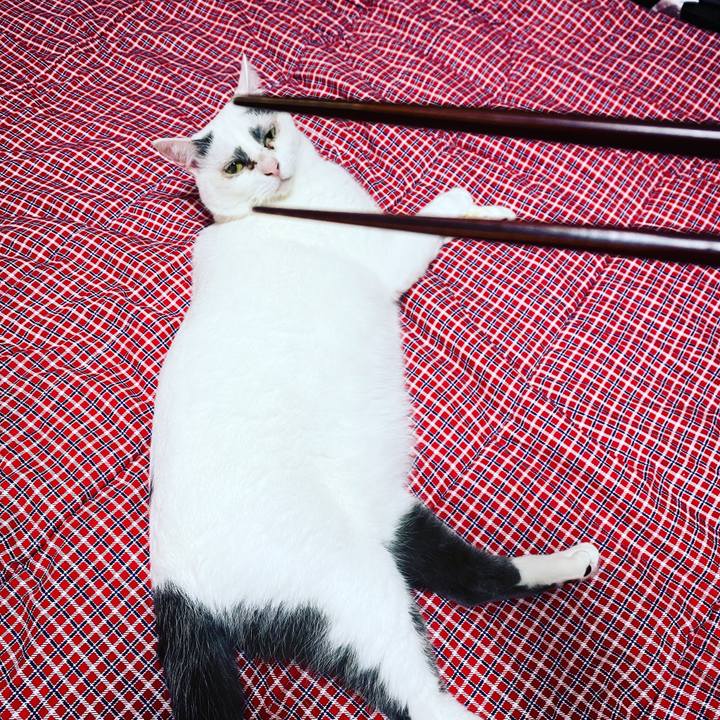 3a6ed497 bcb7 428c 846c e06ed9ba638c 1626876984685