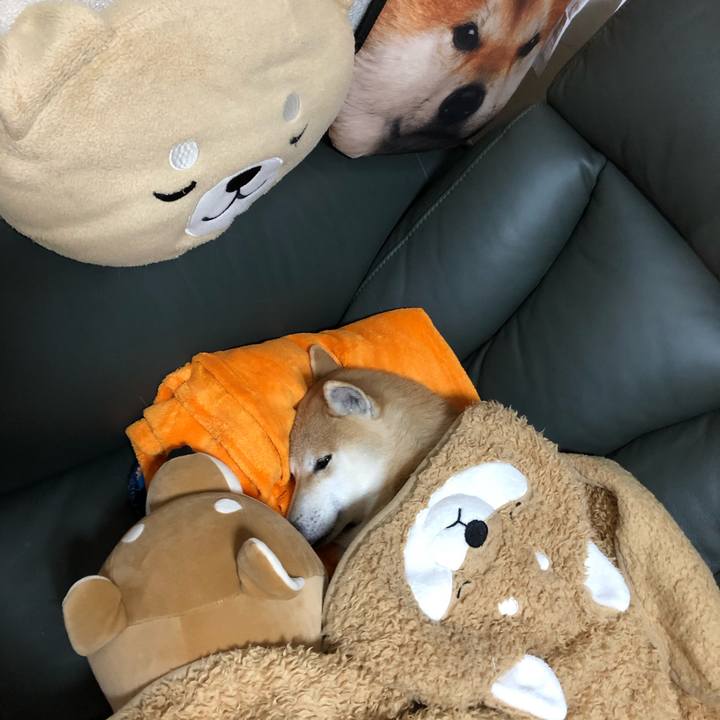 3a6eec3c 3d1d 4752 bfc7 c03f689eda44 1578984905695