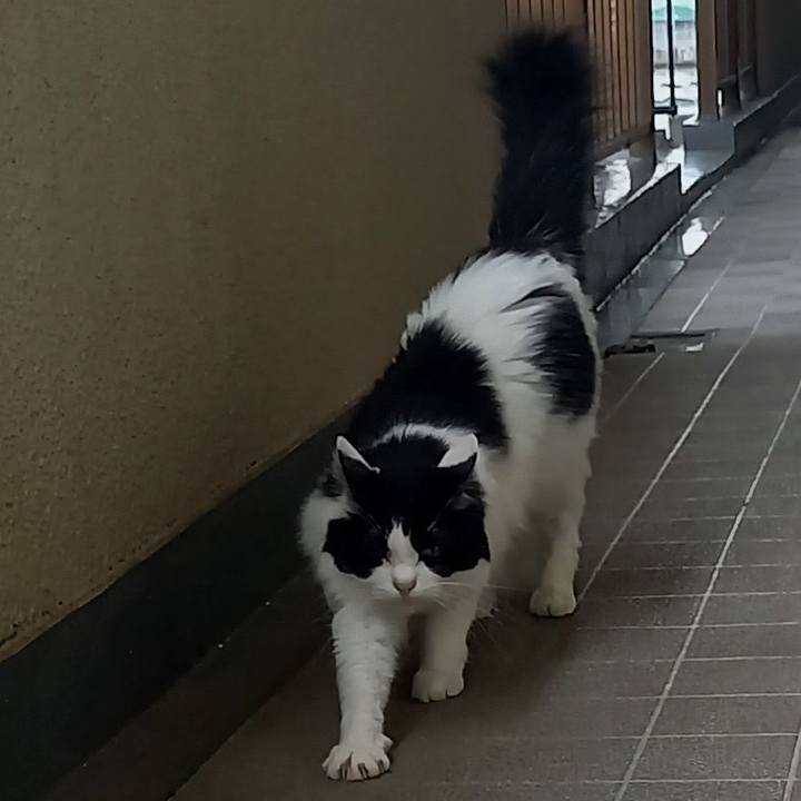 3a6ef3c0 b993 4885 82fc f3f3118bfd32 1652069203990