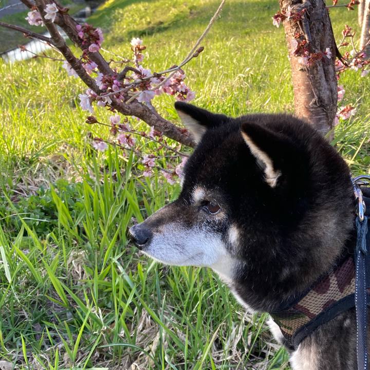 3a6efcd7 74c8 445d 9a1f 00bc2744b9bb 1682329739069