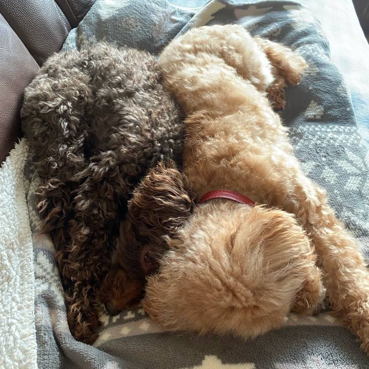 3a6f061d 9097 4923 a3fa 78104afa0c1f 1606061481959