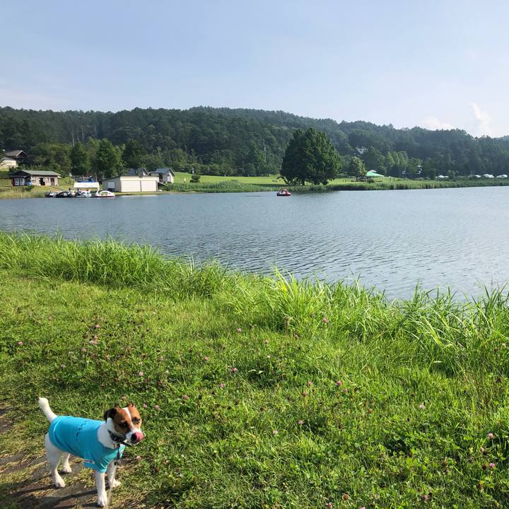 3a6f0d59 6e84 4d3d 8d2d 5bb898f8d939 1596543012415