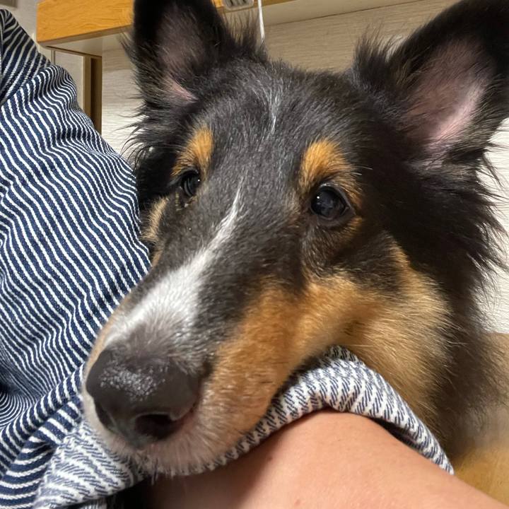 3a6f597a c05d 4310 950c ae14b3e2315d 1632090304788