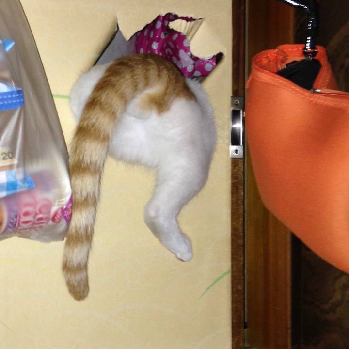 3a6f5b4d 2f18 4da7 985a eee7211d57aa 1588286190072