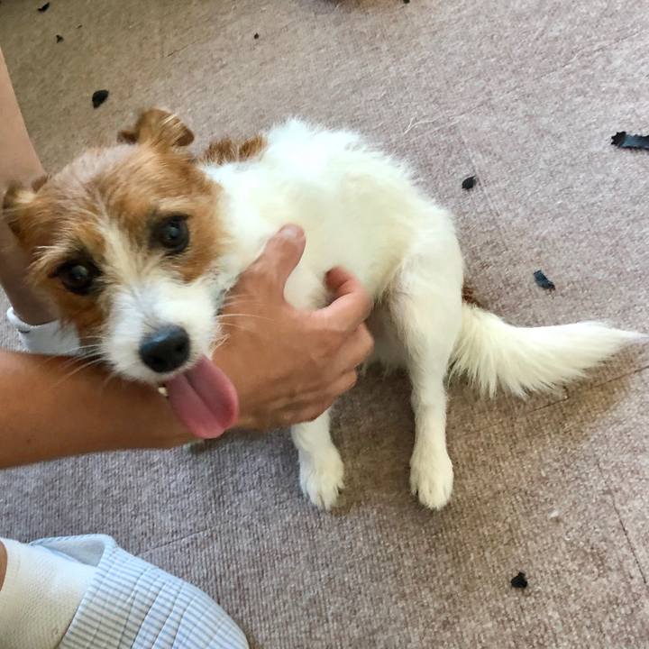 3a6f820a 229b 48a1 85f3 a135927de7ff 1552202206135