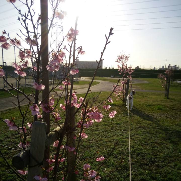 3a6f858b bcc9 4db4 9a1c 493e91e74883 1521881468836