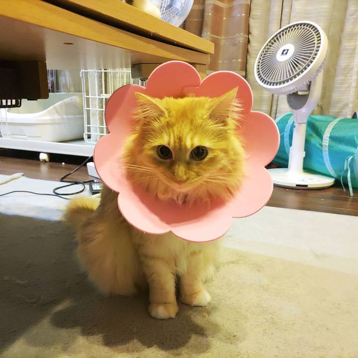 3a6fa30f 7b3f 4198 a49a 471fb50b5761 1681997412294