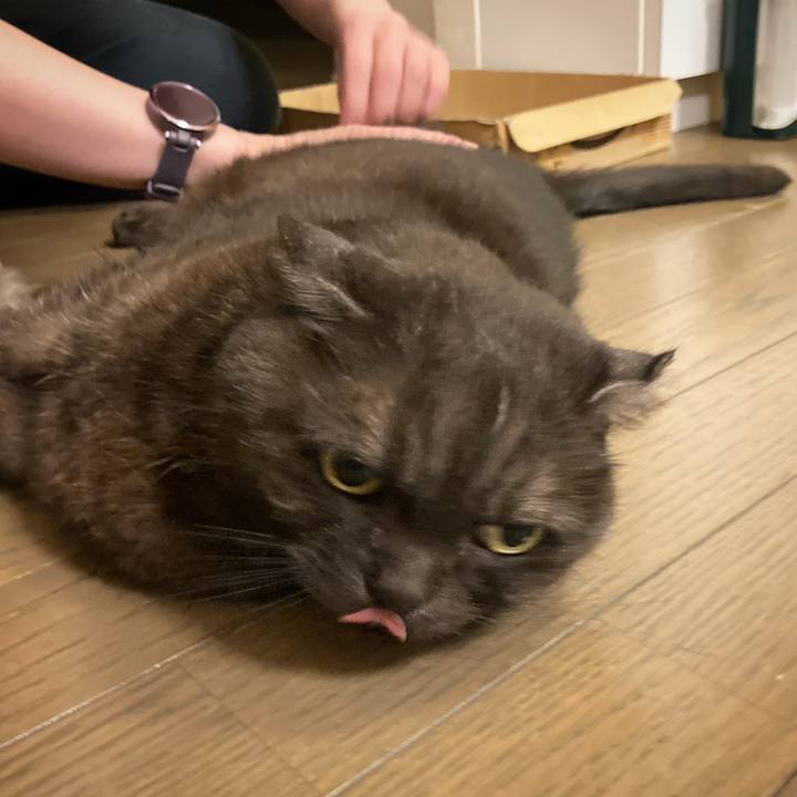 3a6fb06f c0af 4495 9040 b317b0cdcdd4 1621962033475