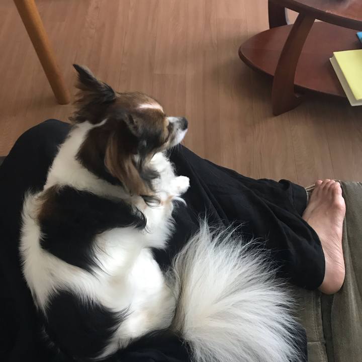 3a6fc205 0974 4be9 8f82 d817dc445e12 1565312167847