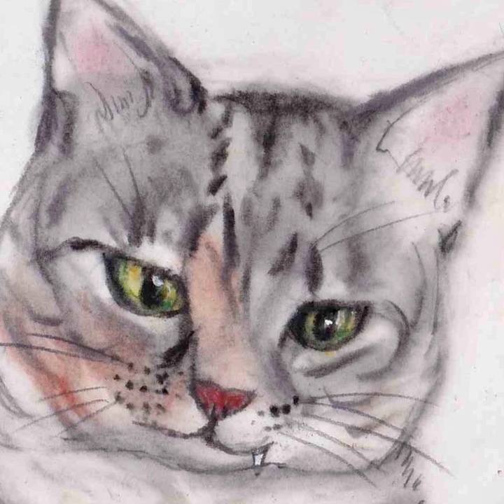 3a6fecf4 c15d 4ad7 93f9 c9b6ac904313 1634944318686