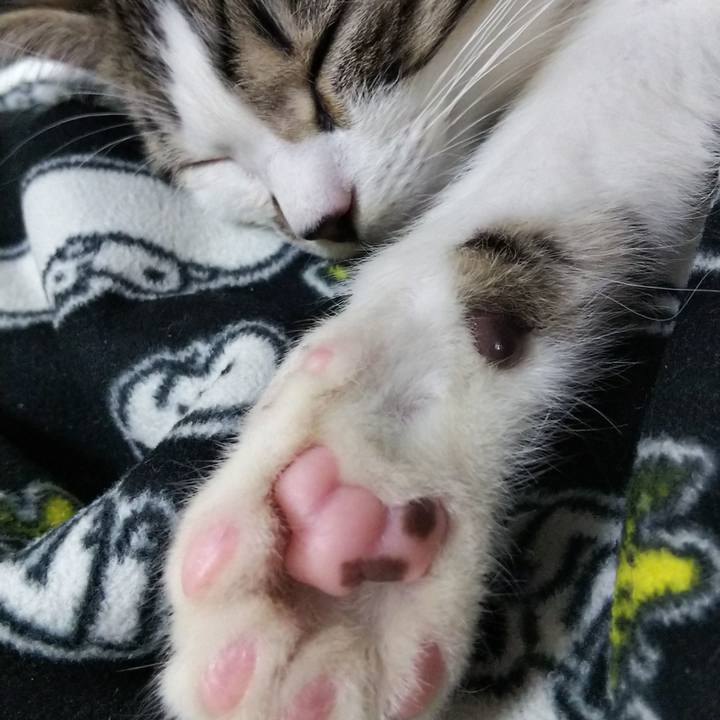 3a6ffad2 1619 4f3d 93c5 9b156937f531 1609464250106