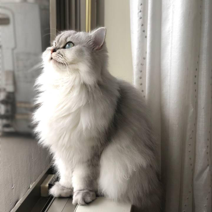 3a705c92 a52a 4b32 8fe2 ff48af66fce8 1538188612782