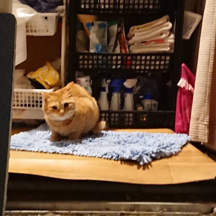 3a70a3a6 ca06 4c15 b77a db5ef756f8b0 1638093528462