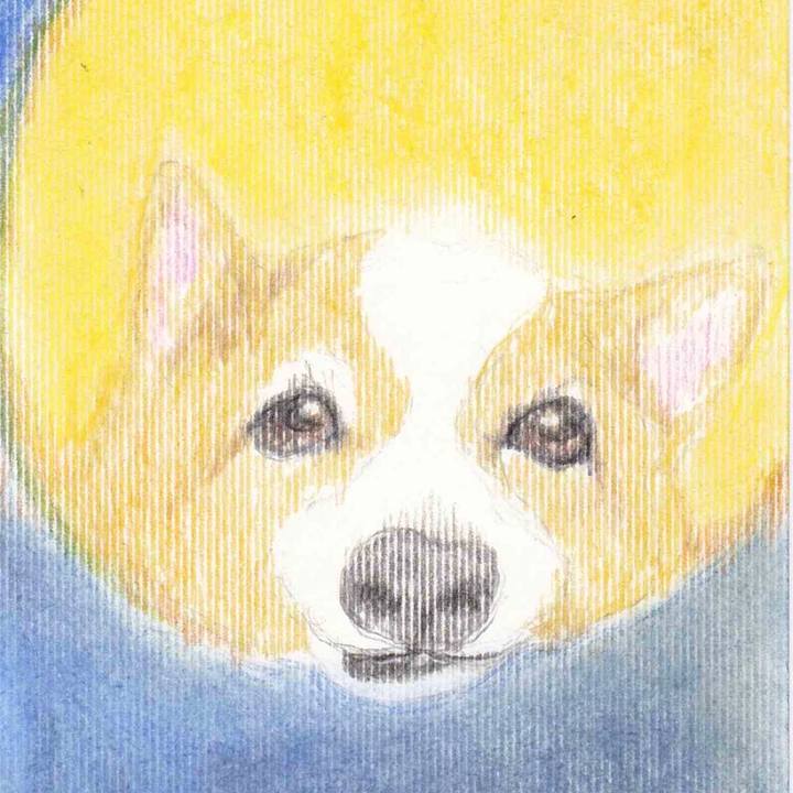 3a70c588 f234 454d 8ce6 529a14d23fe7 1586362241086