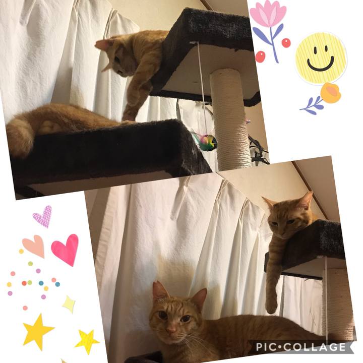 3a70ddbf 1490 4d42 bdc7 f0252aa23281 1591969012323