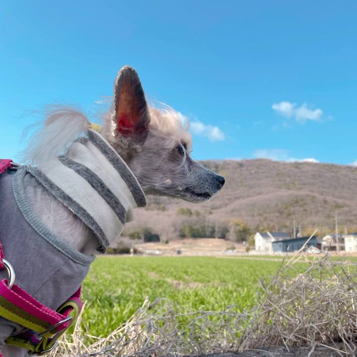 3a710af1 baf5 4701 a5ff 19f98075c98b 1773909431209