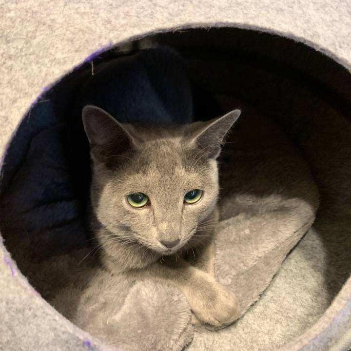 3a714dc5 2471 4d87 a3f2 4f0caeb8a593 1575267004231