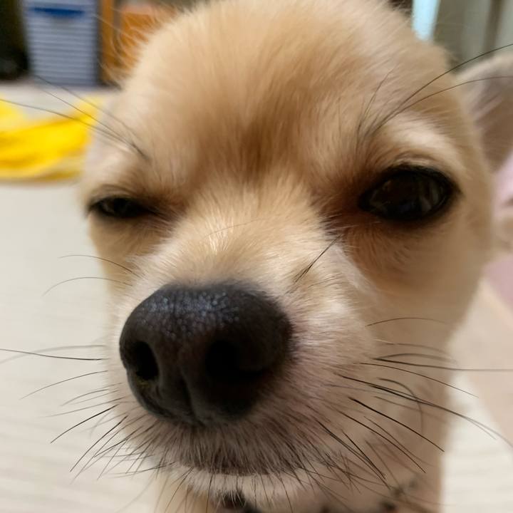 3a71516e 4789 4a54 908f a24051b0a606 1583704905340