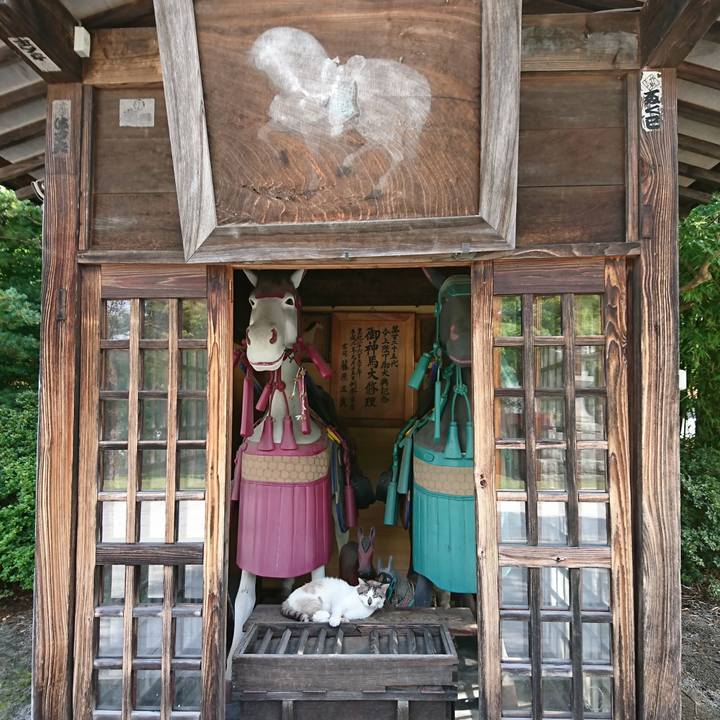 3a715526 e2cf 4bf1 a95c 58689bb9f434 1531543551649