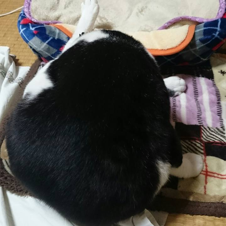 3a718742 3249 475e 9021 6565b4eb1e07 1509702779351